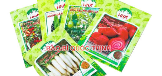 in túi giấy cán màng nhôm đựng hạt giống - hinh 5