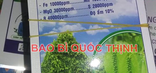 tui nhom ghep giay 02
