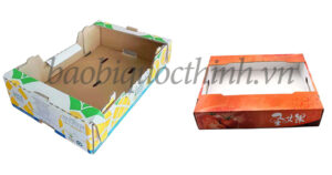 Công ty Bao Bì Quốc Thịnh 30 Các mẫu khay giấy carton đựng hoa quả tại Bao Bì Quốc Thịnh