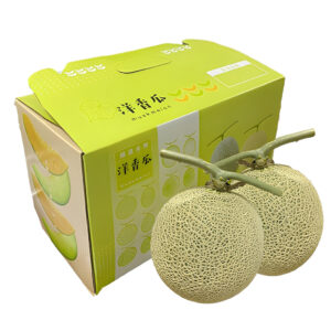 In hộp carton đựng dưa lưới chất lượng cao