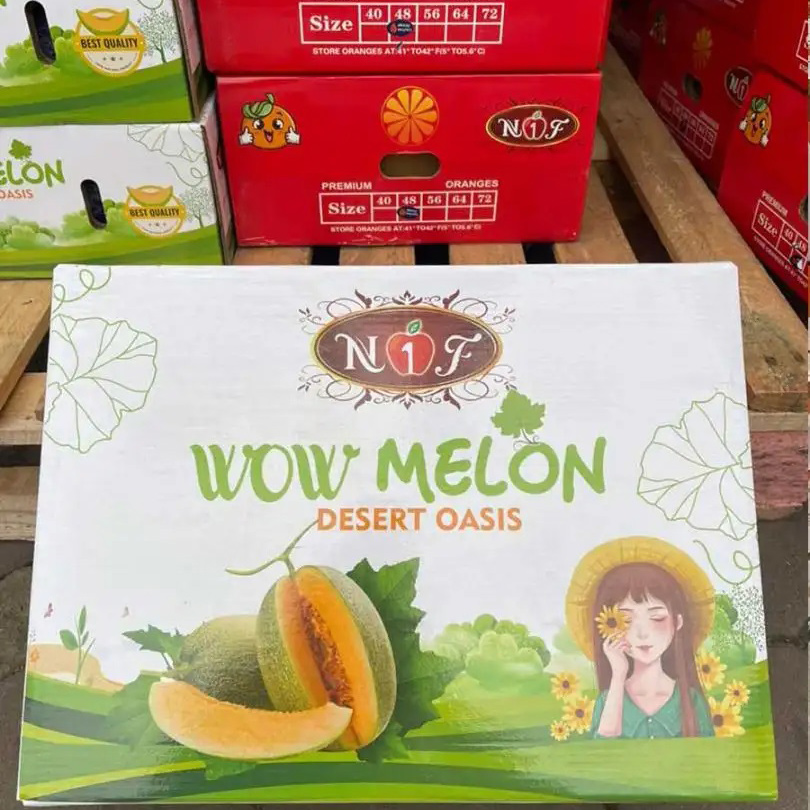 In hộp carton đựng dưa lưới - Nâng tầm giá trị sản phẩm 16 In hộp carton đựng dưa lưới - 2504
