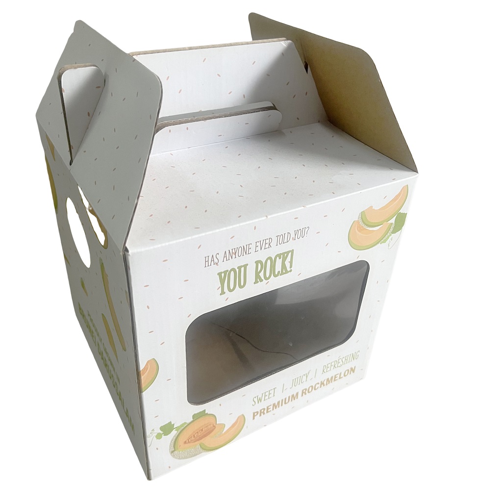 In hộp carton đựng dưa lưới - Nâng tầm giá trị sản phẩm 6 sản xuất hộp carton đựng dưa lưới - 2507