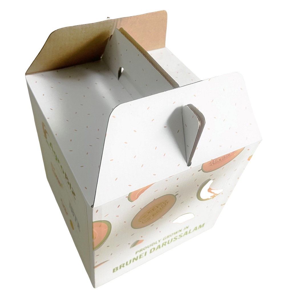 In hộp carton đựng dưa lưới - Nâng tầm giá trị sản phẩm 4 sản xuất hộp carton đựng dưa lưới - 2508