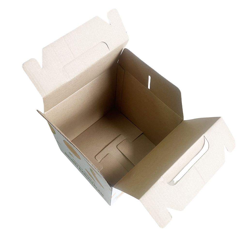 In hộp carton đựng dưa lưới - Nâng tầm giá trị sản phẩm 5 sản xuất hộp carton đựng dưa lưới - 2509