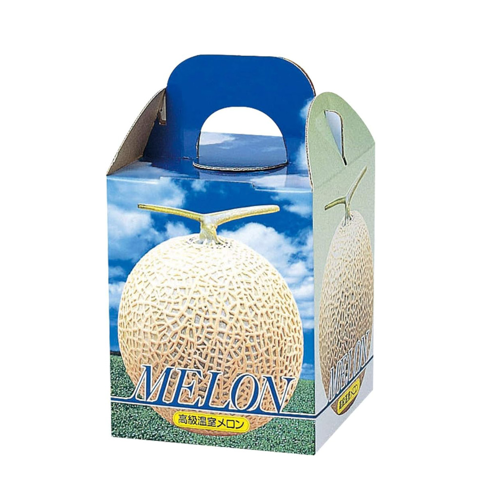 In hộp carton đựng dưa lưới - Nâng tầm giá trị sản phẩm 12 in hộp carton đựng dưa lưới xuất khẩu - 25019