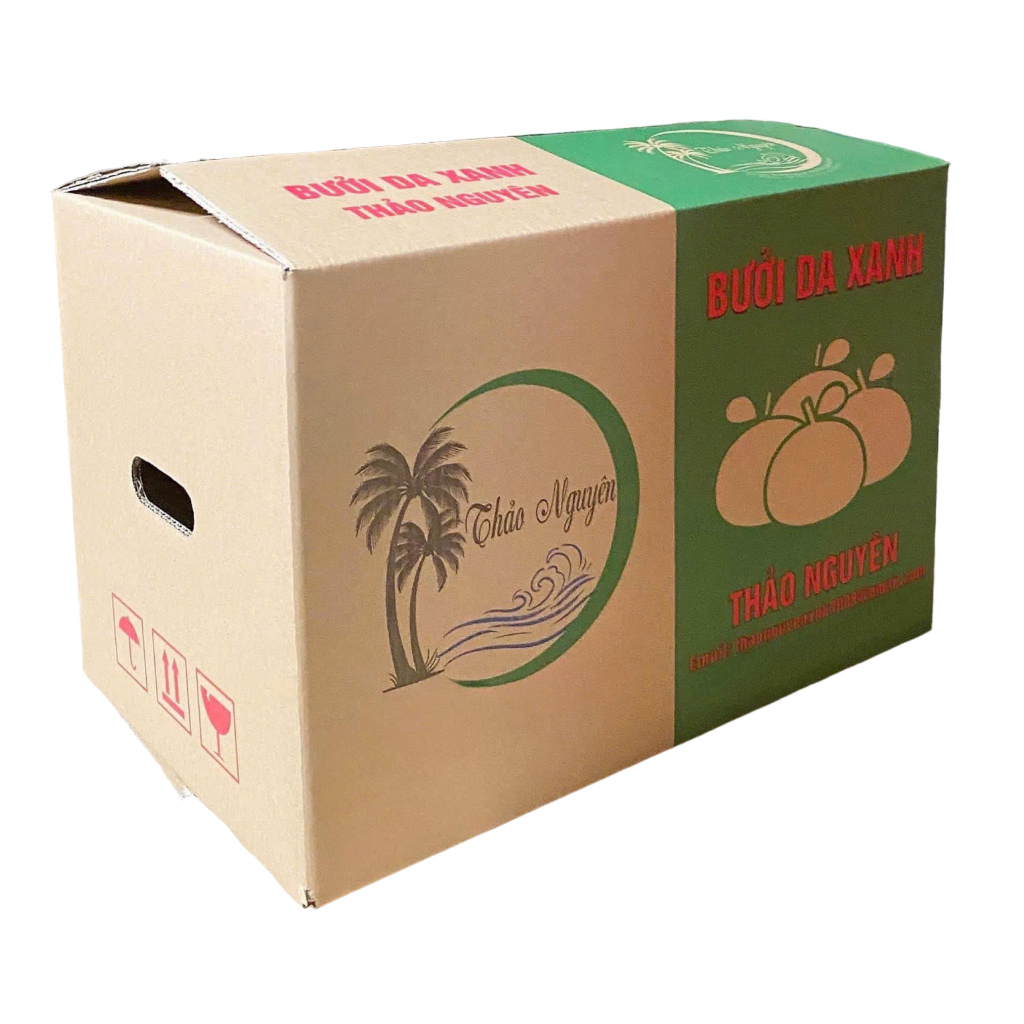 In thùng carton đựng bưởi xuất khẩu - 2502