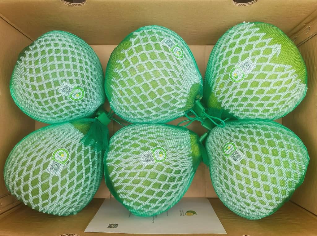 thung carton dung buoi 2509