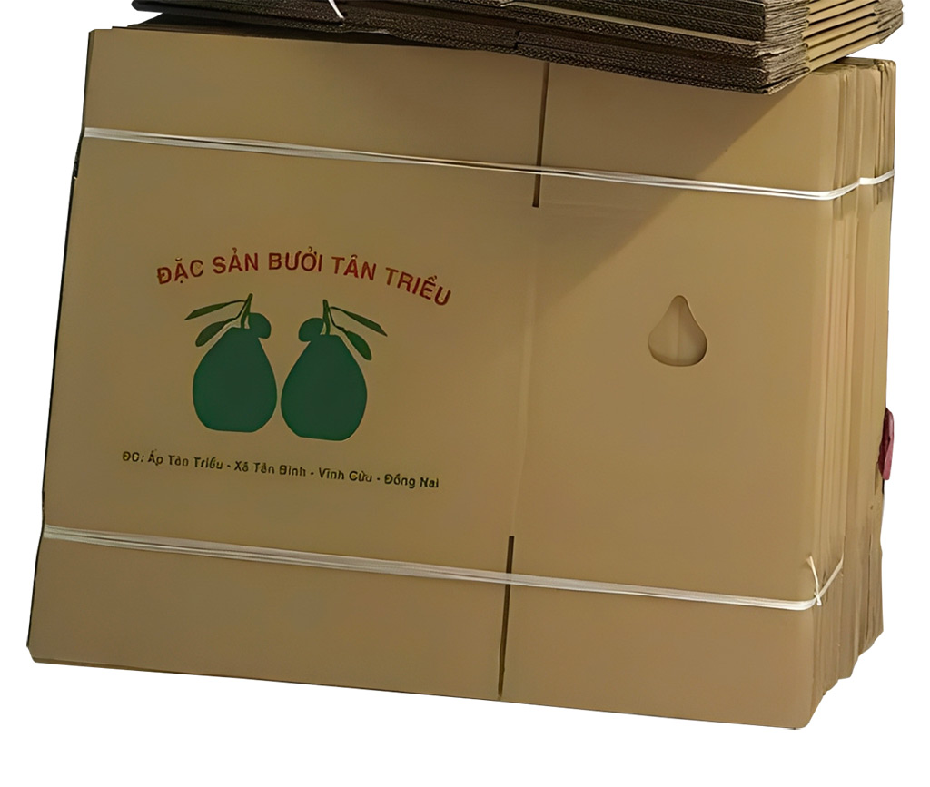 in thùng carton giá rẻ đựng bưởi xuất khẩu giá rẻ - 2514