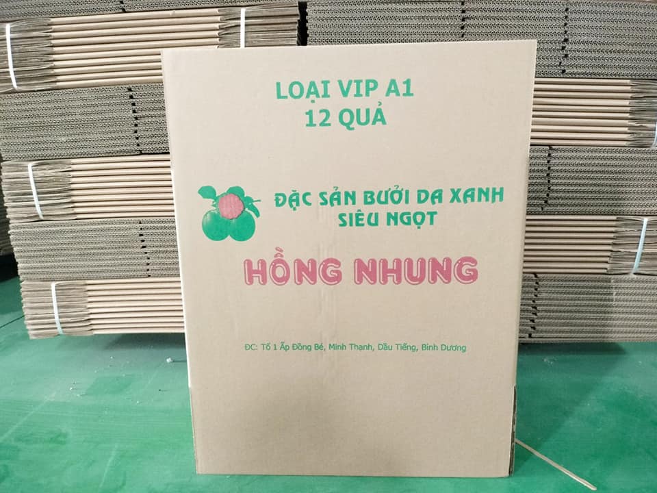 in thùng carton giá rẻ đựng bưởi - 2518