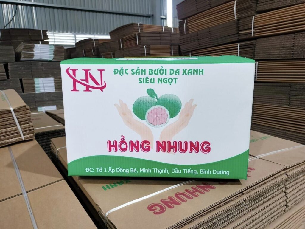 Thùng carton đựng bưởi cao cấp - 2520